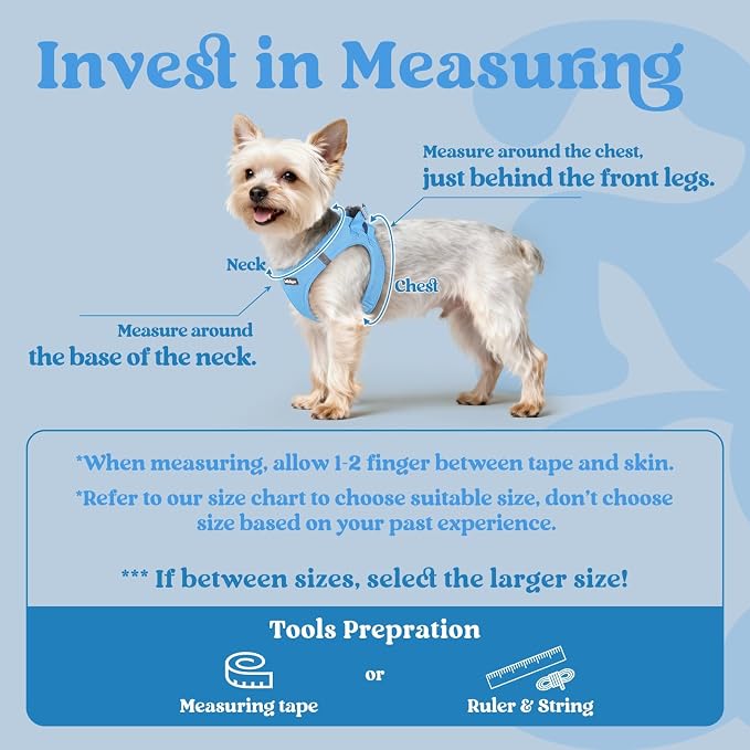 rabbitgoo Step-in Small Dog Harness, Puppy Vest for Small Sized Pet | Easy Put on and off, Lightweight, Soft, Breathable Quick-Dry Air Mesh for Comfortable Secure Walking, Blue S