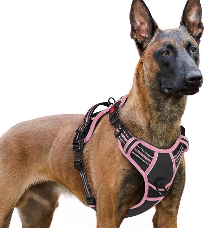 rabbitgoo Dog Harness for Large, Updated Easy On & Off with 3 Buckles | No Pull No Choke, Walking with 2 Clips and Handle, Adjustable Soft Reflective, Black & Pink, X-large