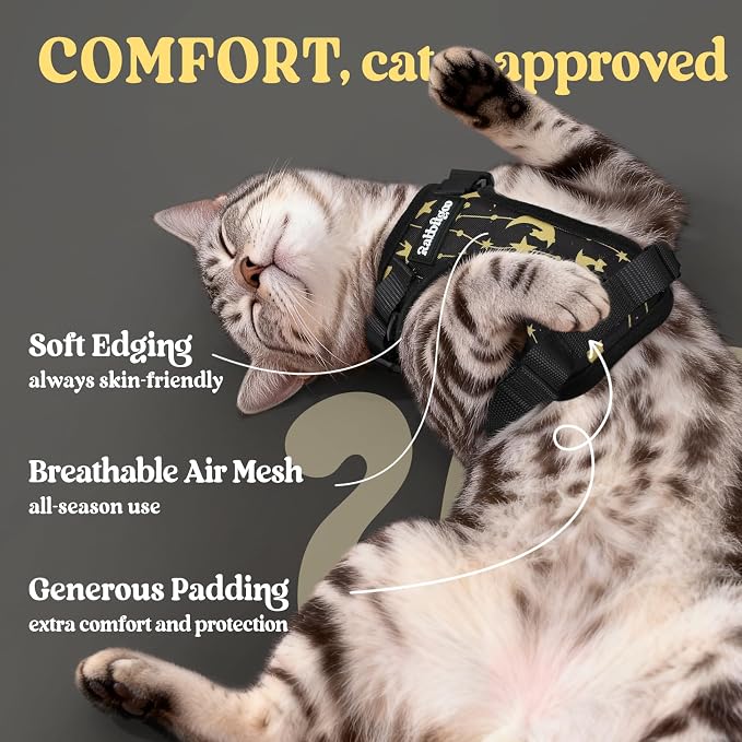 rabbitgoo Cat Harness and Leash Set, Escape Proof Vest, Lunar Prowl | Soft Breathable Mesh, Easy Adjustable Fit, Snap Buckles, Sturdy Clip, Reflective Strips, for Kittens & Small Cats Walks, Xxs
