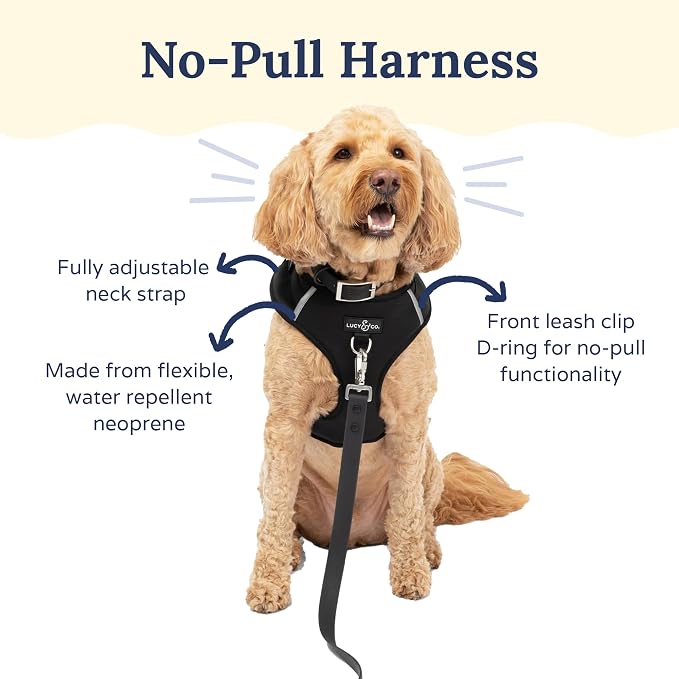 Lucy & Co. The Midnight No-Pull Dog Harness - Size Large - Vest to Stop Pulling & Walk Easy - Comfortable Leash Training Product w/Adjustable Chest & Neck Straps