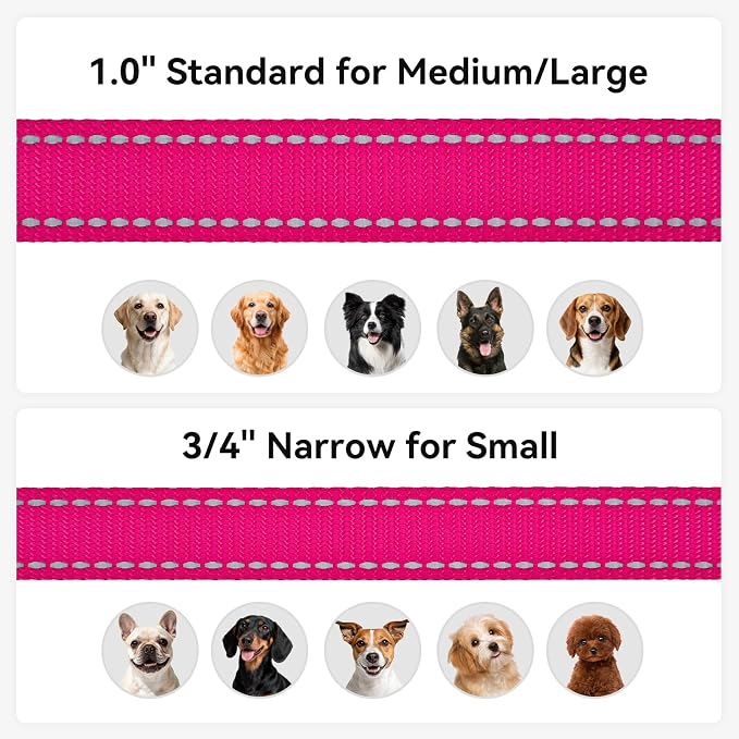 Joytale Reflective Dog Leash for Small Dogs, 4 FT x 3/4", Hotpink | Heavy Duty Nylon Webbing, Padded Handle for Comfort, Visible at Night, for Walking & Training