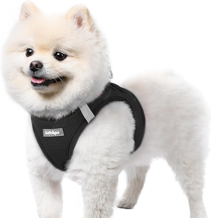 rabbitgoo Step-in Small Dog Harness, Puppy Vest for Small Sized Pet | Easy Put on and off, Lightweight, Soft, Breathable Quick-Dry Air Mesh for Comfortable Secure Walking, Black S