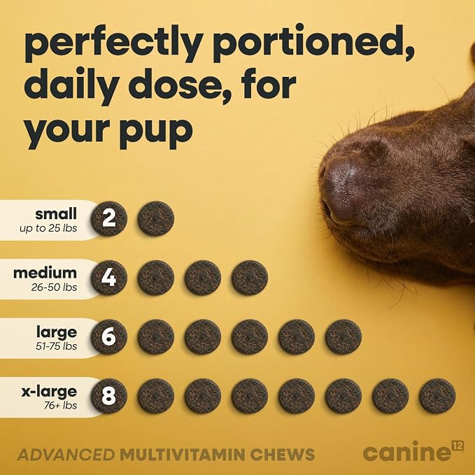 Dog Multivitamin, 24-in-1 Chewable Supplement, Probiotics, 120ct | Vitamins A, B, C, D, and E for Skin and Shiny Coat, Digestive Health Blend, Heart and Eye Health, Daily Chew, Chicken Flavor
