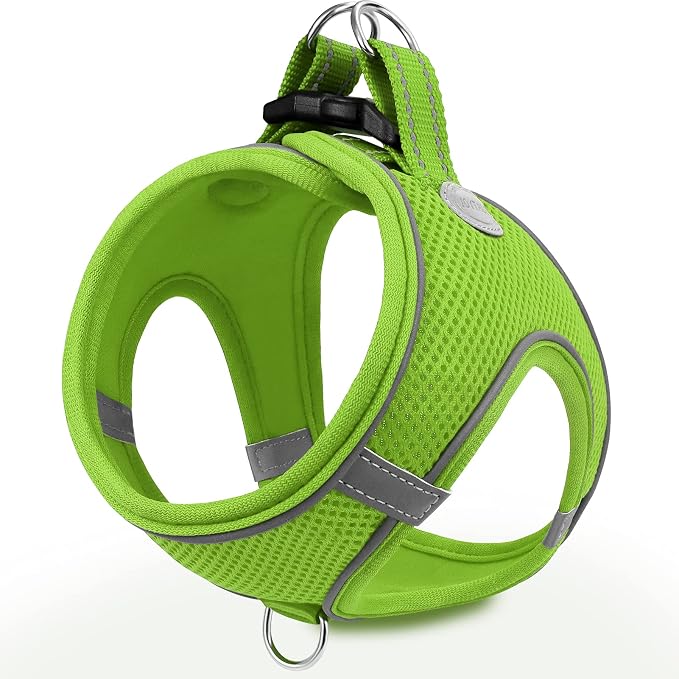 Joytale Step-in Dog Harness, Soft Breathable Mesh, Green L | Adjustable Fit for Small Dogs, Easy Step-in with Secure Fastener, Even Chest Pressure, Reflective For Night Safety, Washable