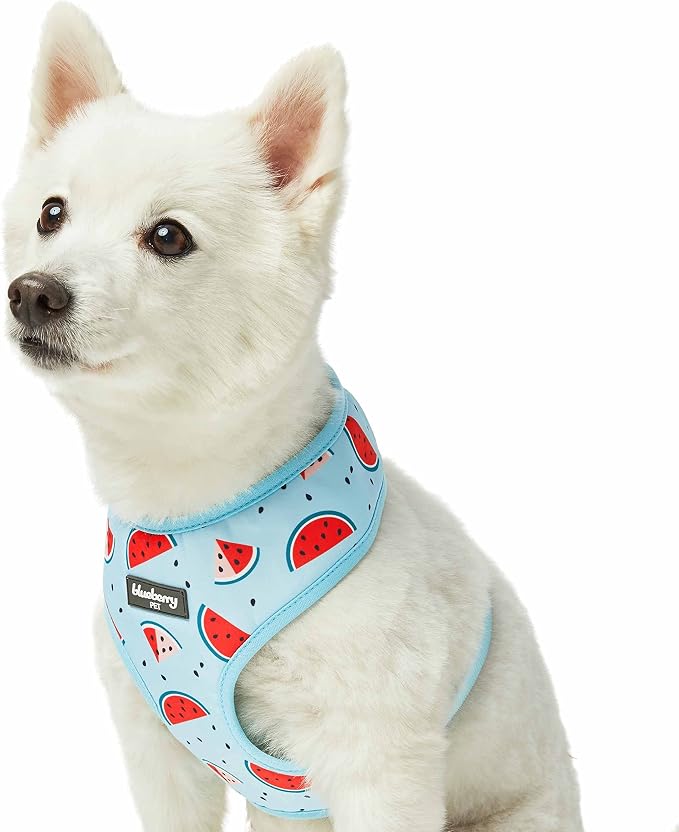 Blueberry Pet Summer Sparkle Dog Harness Vest, Adjustable Medium Size, Chest Girth 19.5" - 26", Blue, Zesty Fruit Watermelon Print Pet Harness