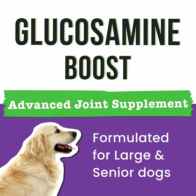 Glucosamine for Dogs - Joints Health Treats w/Omega Fish Oil - Natural Joint Pain Relief - Canine Hip and Joint Supplement w/Chondroitin + MSM + Turmeric + Calcium - 240 Beef Chews