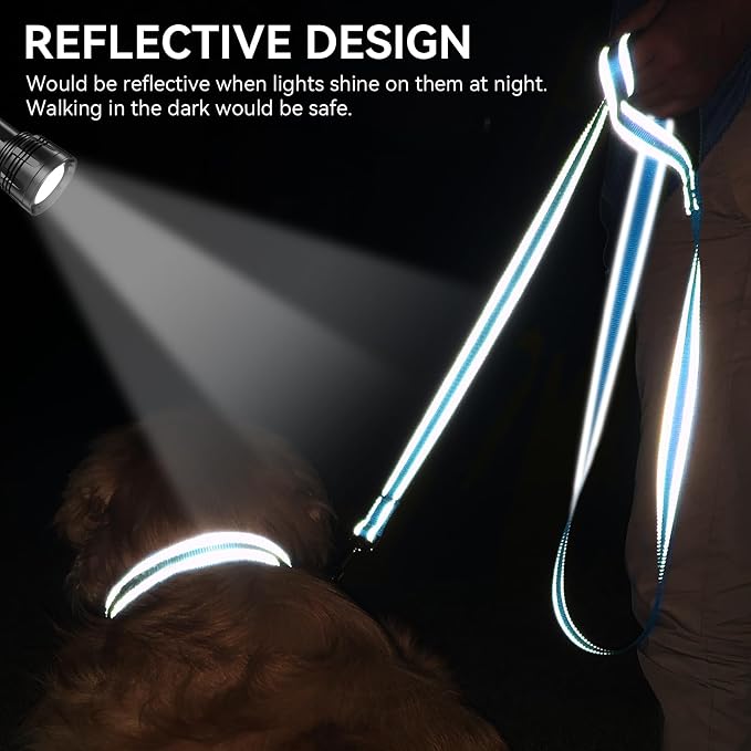 Joytale Reflective Dog Leash for Small Dogs, 5 FT x 3/4", Sky Blue | Heavy Duty Nylon Webbing, Padded Handle for Comfort, Visible at Night, for Walking & Training
