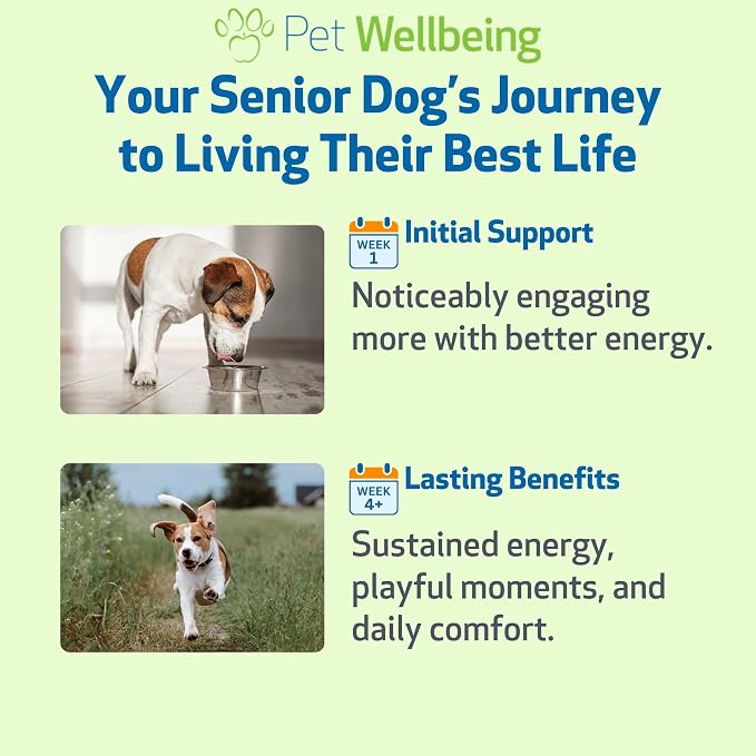 Pet Wellbeing Old Friend for Dogs - Senior Immune & Cognitive, 4 oz