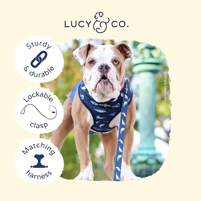Lucy & Co. Shark Attack Dog Leash - 5-Foot Designer Dog Leash for Small, Medium or Big Dogs or Puppies Puppy - Pet Accessories & Supplies