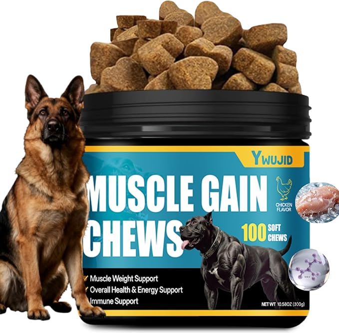 Dog Muscle Gain Power Chew-Canine Weight Gainer Formula,High Protein