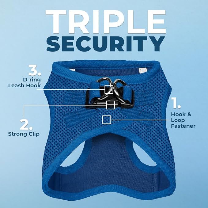 Best Pet Supplies Voyager Step-in Air All Weather Mesh Harness and Reflective Dog 5ft Leash Combo with Neoprene Handle, for Small, Medium and Large Breed Puppies - Royal Blue, Medium
