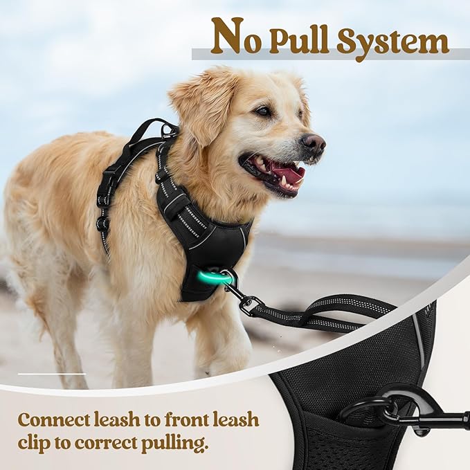 rabbitgoo Dog Harness, No Pull for Large Dogs with 2 Leash Clips, Pet Vest | No Choke with Handle, Adjustable Soft Padded, Reflective, Easy Control for Walking, Black, Large
