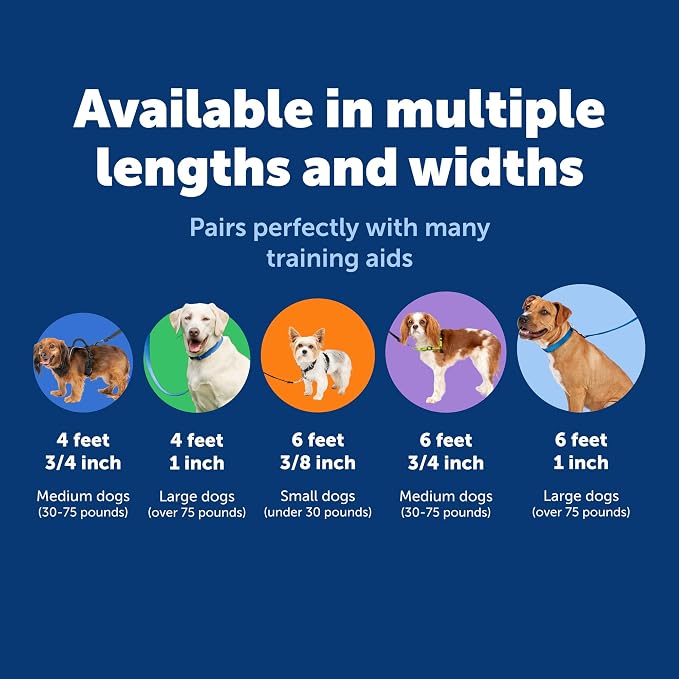 PetSafe Nylon Dog Leash - Strong, Durable, Traditional Style Leash with Easy to Use Bolt Snap - 3/8 in. x 6 ft., Royal Blue | Durable Nylon Leash with Easy on/off Bolt Snap Hook, Pairs Perfectly with Easy Walk Harness and Gentle Leader Headcollar