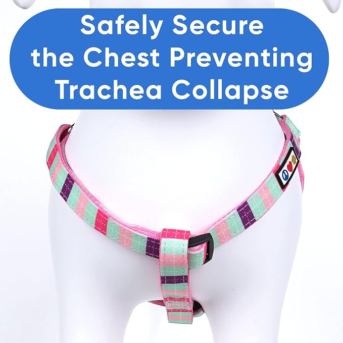 Pawtitas Multicolor Step-in Dog Harness – Adjustable No-Pull Vest for Puppies to Seniors, Safe & Comfortable S Teal/Pink/Purple