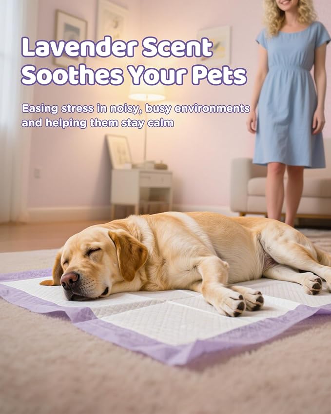 iweepet 36"x36" 4XL Lavender Scented Disposable Dog Pee Pads, 30 Count | Extra Large Puppy Training Pads with 6-Layer Super Absorbent Protection, Leakproof Puppy Pads for Large Dogs & Senior Pets