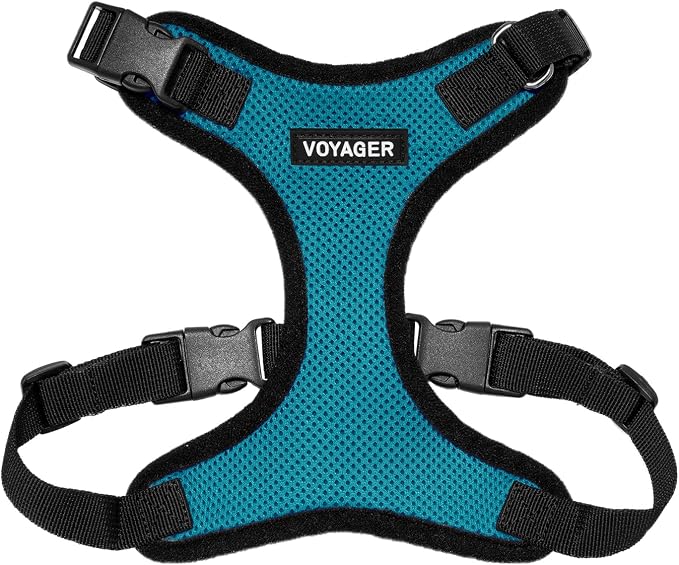 Voyager Step-in Lock Dog Harness - Turquoise/Black Trim, Large | 20 - 25" in Chest, Adjustable, Breathable Air Mesh, Lightweight for Daily Walks, Strong Clips, Heavy Duty D-Ring