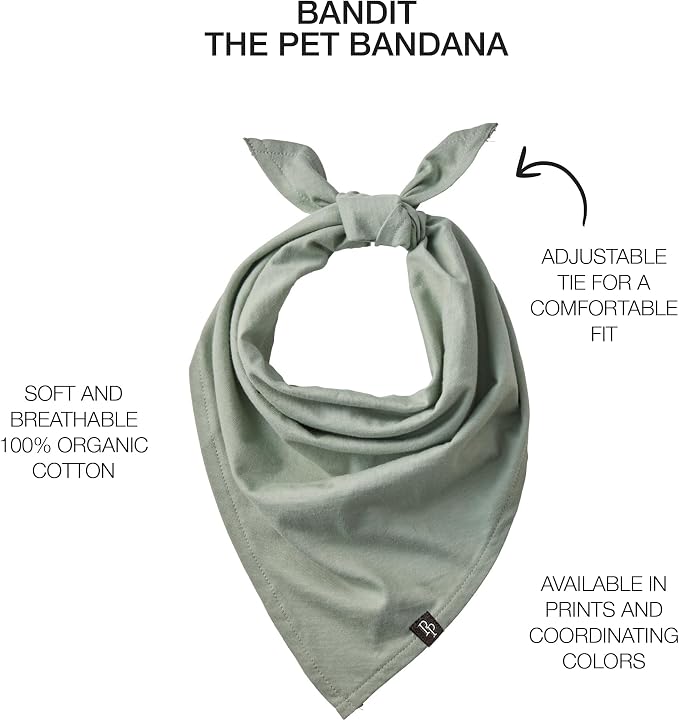 Pet Passion Bandit, Medium/X-Large, 3-Pack, Small