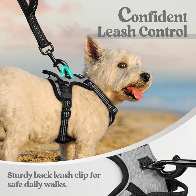 rabbitgoo Dog Harness No Pull with 2 Leash Clips, Adjustable Soft Padded, Reflective Oxford No Choke Pet Vest with Easy Control Handle for Puppy, Grey, XS | No Choke with Handle, Adjustable Soft Padded, Reflective, Easy Control for Walking, Gray, X-Small