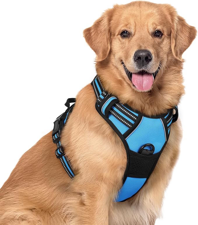 rabbitgoo Dog Harness, No Pull for Large Dogs with 2 Leash Clips, Pet Vest | No Choke with Handle, Adjustable Soft Padded, Reflective, Easy Control for Walking, Blue, X-Large