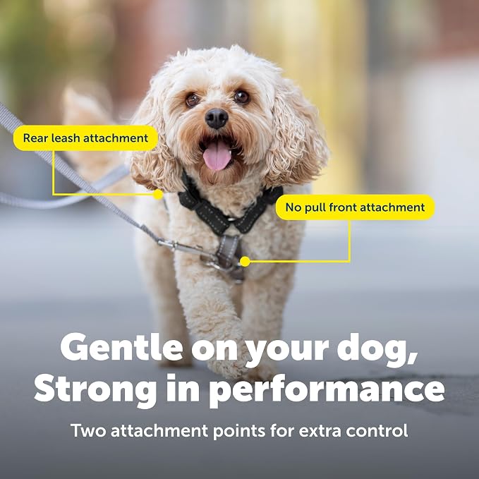 PetSafe Easy Walk 3 in 1 Harness with Two Point Control Leash, Small, Black | Front & Back Leash Attachments Reduce Pulling, 5 Adjustment Points, Includes Car Control Strap, Reflective Nylon