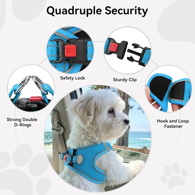 Joytale Step-in Dog Harness, Soft Breathable Mesh, Sky Blue M | Adjustable Fit for Small Dogs, Easy Step-in with Secure Fastener, Even Chest Pressure, Reflective For Night Safety, Washable
