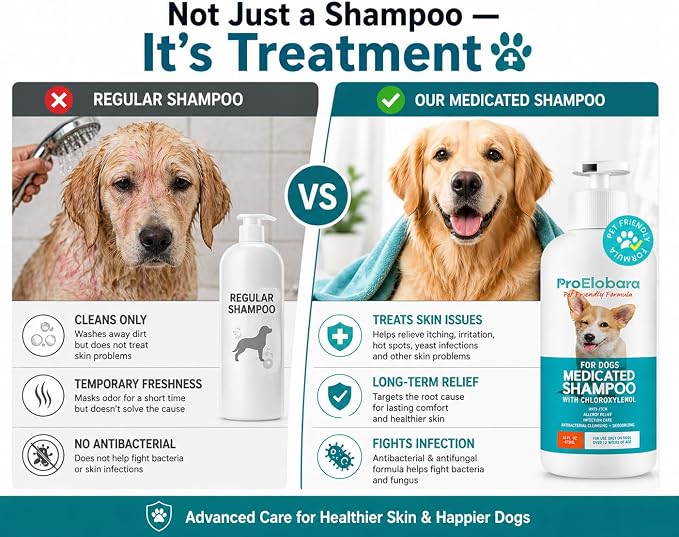 Medicated Dog Shampoo for Allergies and Itching: Antifungal Dog Shampoo, Yeast Infection and Bacterial Treatment for Dogs - Helps Hot Spots, Deodorizing and Anti Itch - Healthy Skin & Coat 16 OZ
