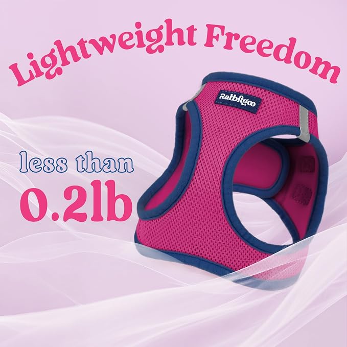 rabbitgoo Dog Harness Small Sized and Leash Set, Step in Soft Vest | Breathable Mesh, Easy Wear with Hook & Loop, Light and Reflective for Walking, Multi-colored, Rose Red & Navy Blue, L