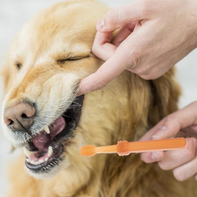 VOSAREA 1 Set of Silicone Pet Toothbrush Kit for Dogs and Cats Puppy Tooth Brushing Tool Double Head Oral Cleaning Brush for Small Dogs and Cats