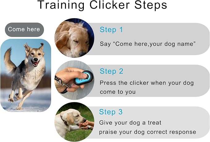 Pet Training Clicker with Strap, Black & White