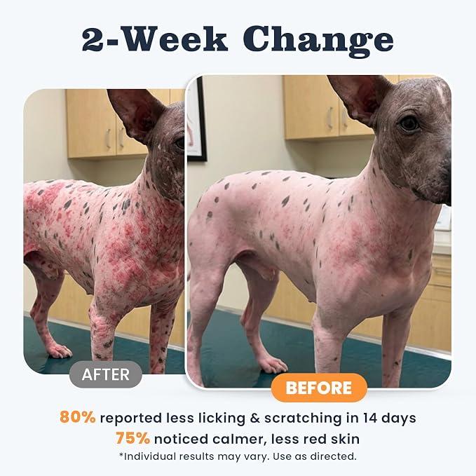 Dog Allergy Chews 200 Ct, Itch Relief for Dogs Immune Support Seasonal All Issues Allergies Colostrum Probiotics & Omega 3 for Skin & Coat, Itchy Skin & Paw Relief Bites, Made in USA
