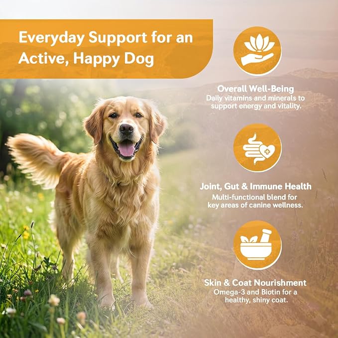 25-in-1 Dog Multivitamin Soft Chews – Hip & Joint, Skin & Coat, Immune, Digestive & Calming Support – 500M CFU Probiotics, Salmon Oil, Glucosamine & Chondroitin