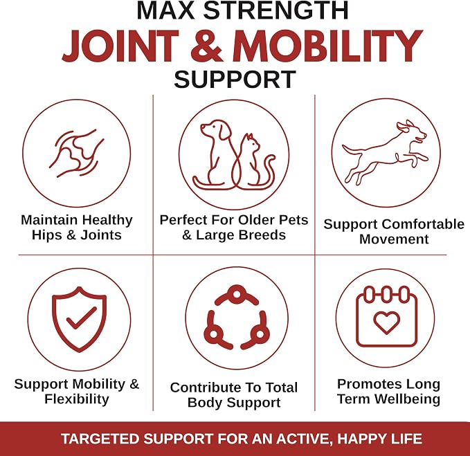 Max Strength Hip and Joint Supplement for Dogs & Cats, 8 oz, 56 Scoops