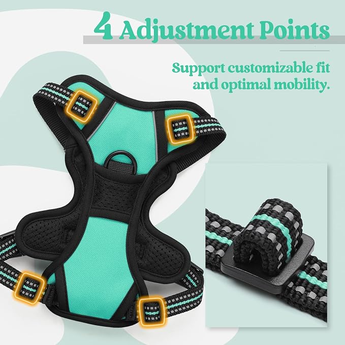 rabbitgoo Dog Harness, No Pull for Small Dogs with 2 Leash Clips, Pet Vest | No Choke with Handle, Adjustable Soft Padded, Reflective, Easy Control for Walking, Turquoise, X-Small
