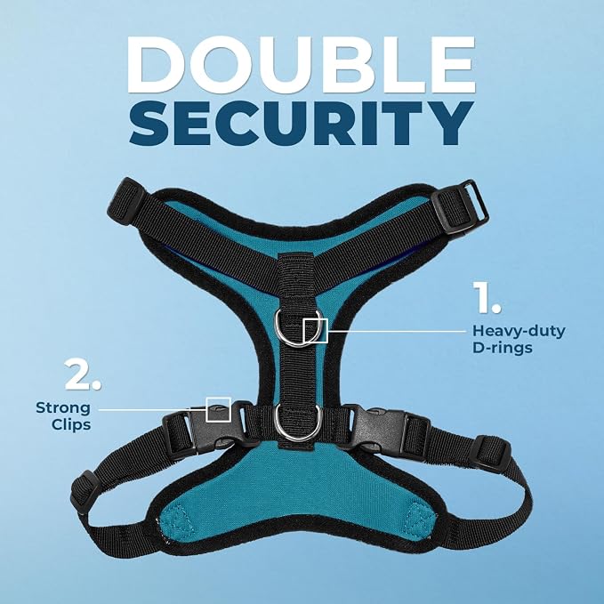 Best Pet Supplies Voyager Step-in Lock Pet Harness w Reflective Pet Leash Combo Set with Neoprene Handle 5ft - Supports Small, Medium and Large Breed Puppies/Cats - Turquoise/Black Trim Set, L
