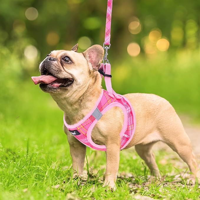PUPTECK Dog Harness and Leash Set for Small Medium Dogs No Pull Step-in Soft Mesh Puppy Cat Vest Harnesses Reflective at Night, Plaid Pattern Pink XS