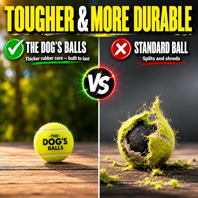 The Little Dog’s Balls Small Dog Tennis Balls 6-Pack Yellow Floats in Water | Our fetch balls combine non-abrasive felt exterior and a thicker rubber core Durable Dog Toy for Outdoor Play & Training