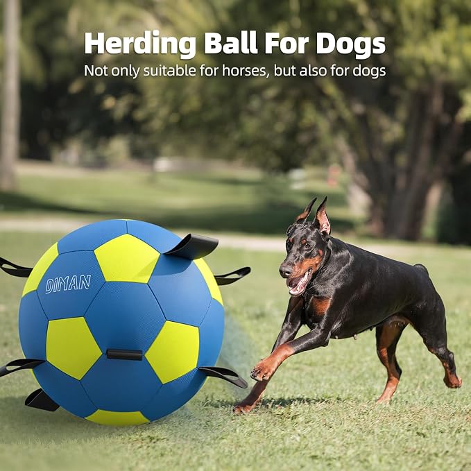 Diman Herding Ball for Dogs with Straps, 25 Inch Horse Balls for Outdoor | Large Dog Toys Balls for Australian Shepherd, Dogs or Horses, Giant Dog Balls for Birthday Gifts, Blue Yellow