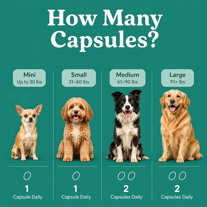 GLX3 Green Lipped Mussel Oil for Dogs | Joint & Hip Comfort Omega-3 Supplement | Ideal for All Dog Breeds and Ages | 1 Month Supply, 60 Gel Capsules w/Natural Ingredients