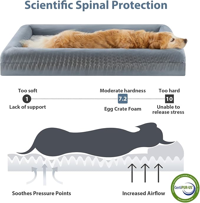 WNPETHOME Orthopedic Dog Bed - XXL Extra Large