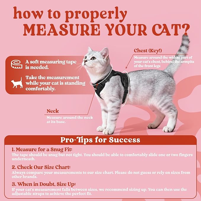 rabbitgoo Cat Harness and Leash Set, Escape Proof Vest, Black | Soft Breathable Mesh, Easy Adjustable Fit, Snap Buckles, Sturdy Clip, Reflective Strips, for Kittens & Small Cats Walks, Xxs
