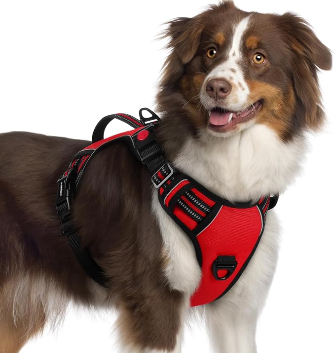 rabbitgoo Large Dog Harness, Easy Wear with 3 Buckles and Lift Handle | No Pull with Front Clip for Walking, Adjustable Soft Padded, Reflective, Easy Control, Red, X-Large