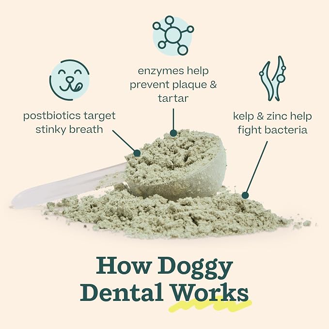 Woof Doggy Dental Pupsicle Mix - Dog Teeth Cleaning Powder for the Pupsicle - Long Lasting Postbiotic Dental Enzyme Mix to Support Oral Health for Dogs