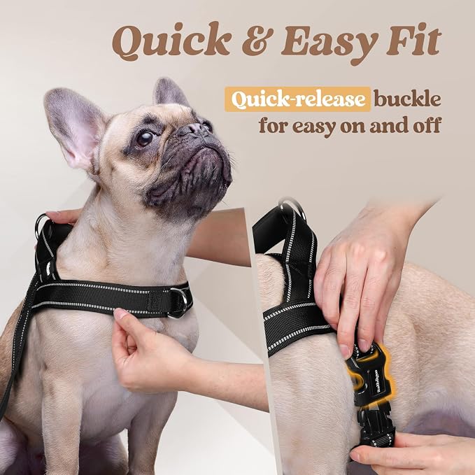 rabbitgoo Dog Harness No Pull, Quick Fit for Medium Sized Dog, Reflective | Chest Adjustable Pet Vest with Soft Padded Handle, No Choke Escape Proof for Walking Training, Black M