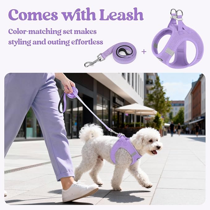 rabbitgoo Dog Harness Medium Sized and Leash Set, Step-in Puppy Pet Vest | Light, Soft, Breathable Air Mesh, Easy on and Remove with Hook & Loop, Secure Reflective for Walking, Light Purple XL