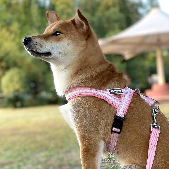Blueberry Pet 3M Reflective Jacquard Dog Leash with Soft & Comfortable Handle, 5 ft x 3/4", Pink, Medium, Leashes for Dogs