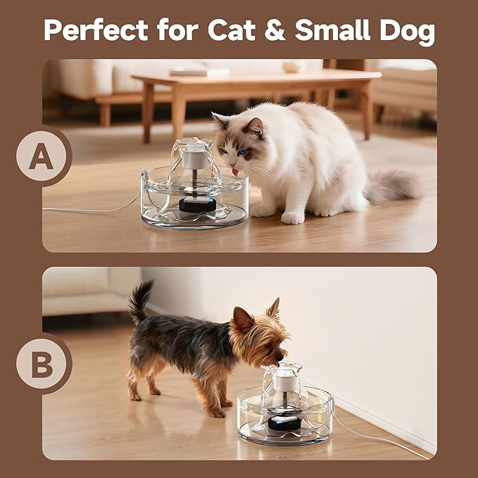 PETIMI Glass Cat Water Fountain, 2.7L/91 oz Ultra-Quiet Pet Fountain, Automatic Water Dispenser for Cats & Small Dogs, Spill-Resistant Pet Water Bowl, BPA-Free, Includes 2 Filters, Effortless to Clean