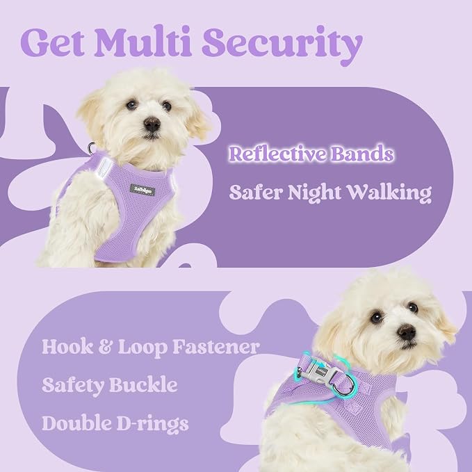 rabbitgoo Step-in Small Dog Harness, Puppy Vest for Small Sized Pet | Easy Put on and off, Lightweight, Soft, Breathable Quick-Dry Air Mesh for Comfortable Secure Walking, Light Purple M