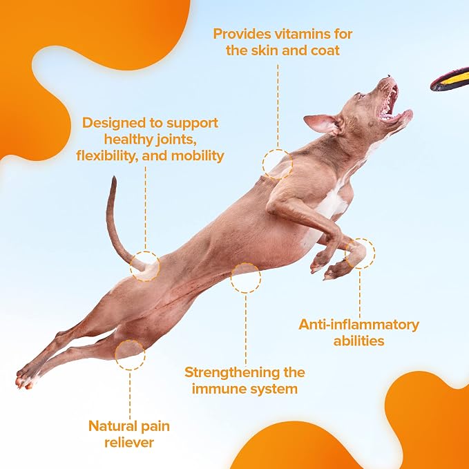 Nature's Pure Edge Glucosamine Powder for Dogs and Cats - Joint Supplement with Chondroitin MSM and Turmeric for Hip and Joint Support - Senior Friendly Formula 170g