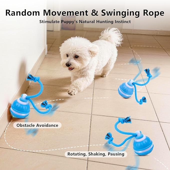 Interactive Dog Toys Ball, 3 Modes & Powerful Motor, Random Movement & Swinging Rope, Bird Chirping Stimulate, USB C Rechargeable for Small Medium Dogs for Boredom, Anxiety Relief