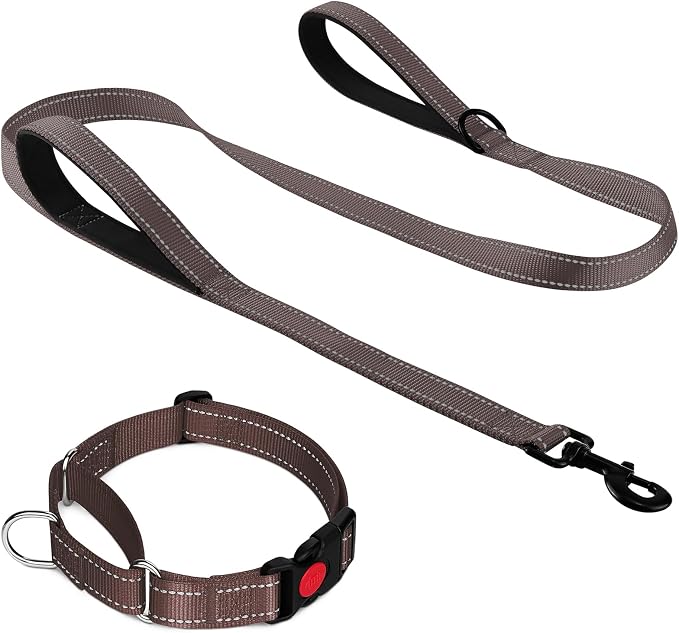 Joytale 6FT Double Handle Dog Leash for Training, Martingale Dog Collar(18.5-25"), Brown